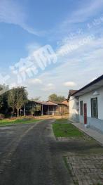 绵阳涪城区 113.9亩 其它林地 经营权转包