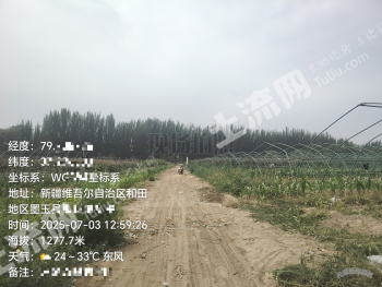 和田墨玉县 43亩 水浇地 经营权出租