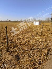 赤峰翁牛特旗 70000亩 水田 经营权出租