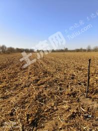 赤峰翁牛特旗 50000亩 水田 经营权出租