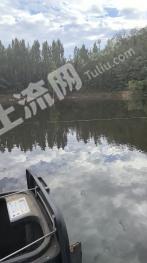 石家庄平山县 1248.31亩 其它林地 经营权出租