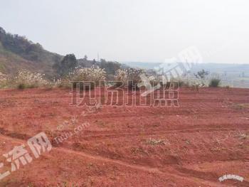 株洲攸县 1000亩 旱地 经营权出租