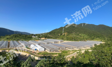 杭州临安区 863.11亩 旱地 经营权出租