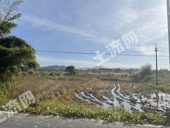 惠州龙门县 400亩 水田 经营权出租