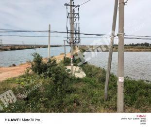 湛江雷州市 105.97亩 坑塘水面 经营权出租