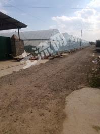 玉溪红塔区 33.79亩 旱地 经营权转让