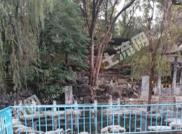 济南长清区 4500平方米 商品房 使用权转让