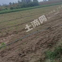 常德桃源县 450亩 水浇地 经营权出租