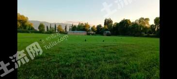 伊犁新源县 130亩 天然牧草地 经营权出租