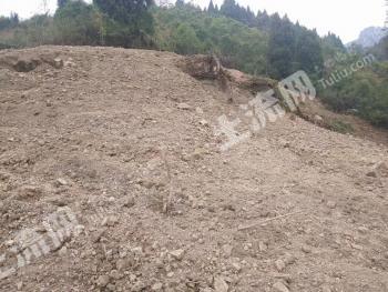 重庆长寿区 70亩 旱地 经营权出租