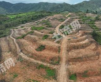 云浮罗定市 414.96亩 旱地 经营权出租