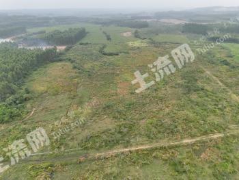 儋州海头镇 1000亩 水浇地 经营权出租