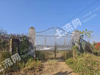 赣州瑞金市 35亩 其它园地 经营权出租