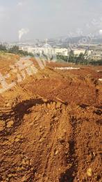 昆明晋宁区 40亩 旱地 经营权出租