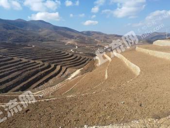 凉山甘洛县 1589.26亩 旱地 经营权出租