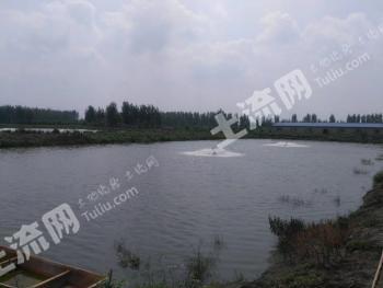 唐山丰南区 27.91亩 设施农用地 经营权出租