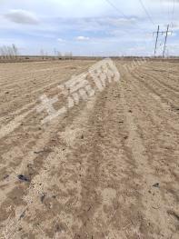 张家口张北县 3000亩 旱地 经营权出租