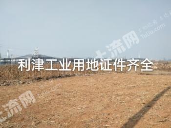 东营利津县 120000平方米 厂房 使用权转让