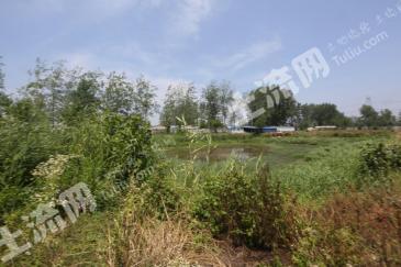 淮安淮阴区 34亩 水田 经营权出租