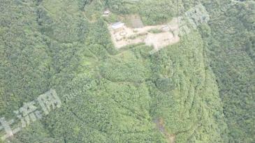 重庆南川区 739.44亩 其它林地 经营权转让