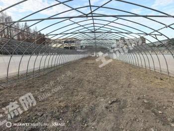 上海浦东新区 14.5亩 水浇地 经营权出租