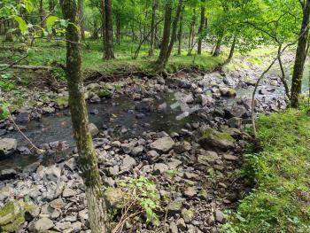 哈尔滨阿城区 130亩 乔木林地 经营权出租