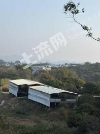 广州白云区 30亩 果园 经营权转让