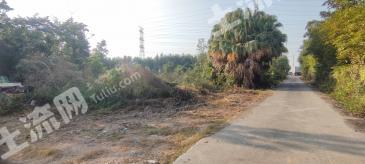 广州南沙区 2.43亩 空闲地 使用权出租