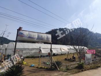 遂宁船山区 12.39亩 旱地 经营权出租