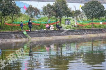 重庆北碚区 35亩 坑塘水面 经营权出租