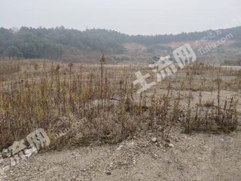 长沙雨花区 51.5亩 空闲地 使用权出租