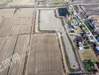 盐城阜宁县 148.79亩 水田 经营权出租