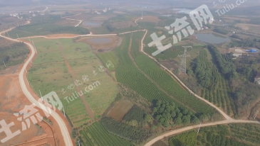 武汉江夏区 7643亩 旱地 经营权出租