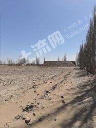 金昌金川区 76.07亩 旱地 经营权出租