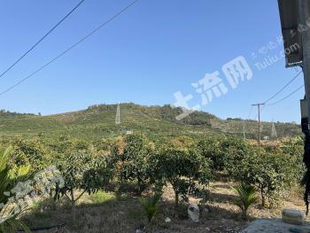 三亚崖州区 9.74亩 水浇地 经营权出租