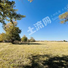 新疆塔城 220亩 水浇地 经营权出租