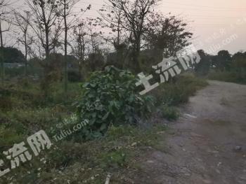 广东中山 14.5亩 灌木林地 经营权出租