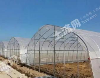 娄底涟源市 20亩 旱地 经营权出租