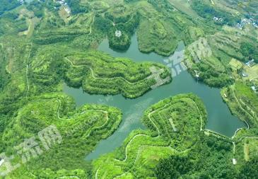 眉山仁寿县 209.34亩 旱地 经营权出租