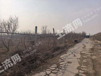 淄博周村区 120亩 其它林地 经营权出租