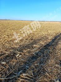 通辽科尔沁左翼中旗7500亩水浇地经营权出租