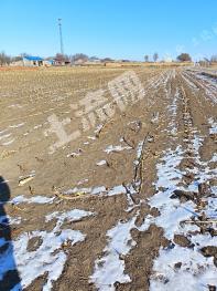 通辽科尔沁左翼中旗18亩其它园地经营权出租