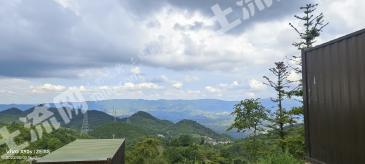 重庆北碚区 410亩 灌木林地 经营权合作