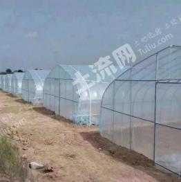 怀化沅陵县 35.71亩 水浇地 经营权出租