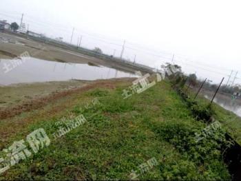 武汉汉南区 94.36亩 坑塘水面 经营权出租