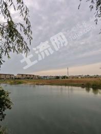 连云港东海县 40009平方米 城镇住宅用地 招拍挂