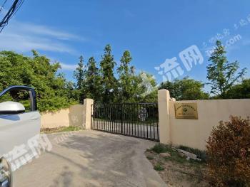 连云港东海县 280.08亩 其它林地 经营权出租