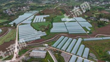 重庆璧山区 199.98亩 水浇地 经营权出租