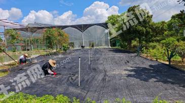 苏州吴中区 30亩 旱地 经营权转让