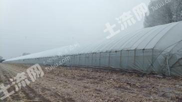 长春双阳区 36.59亩 旱地 经营权转让